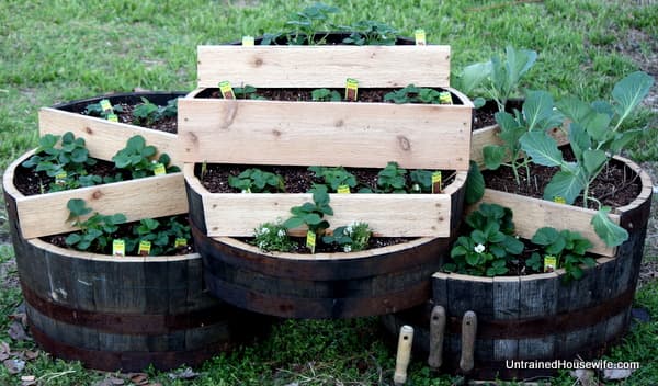 19 DIY Planters For Your Strawberry Garden