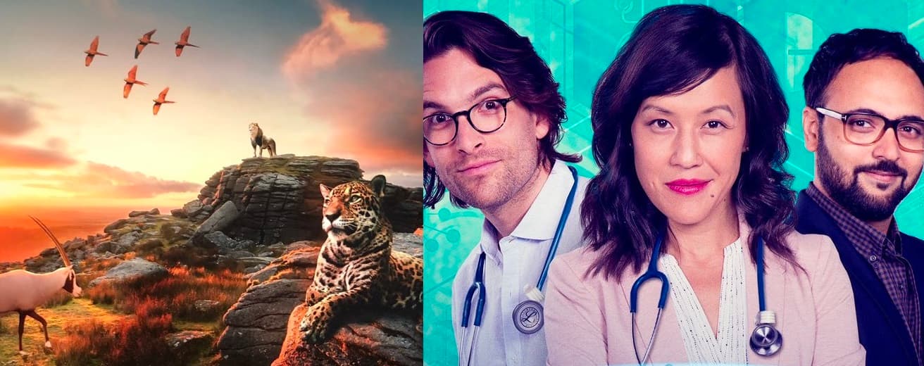 Top 10 Educational Shows on Netflix Adults Can Enjoy