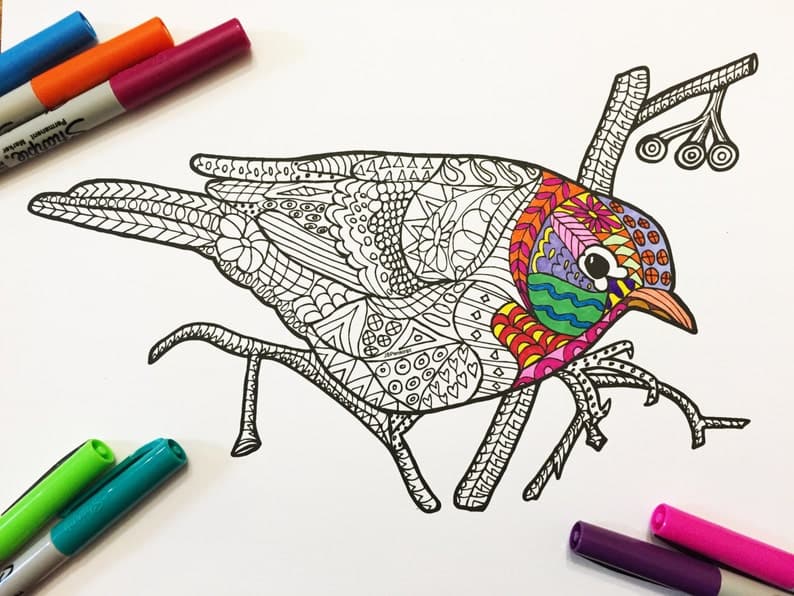 Bird Coloring Pages – What is Your Favorite Bird?