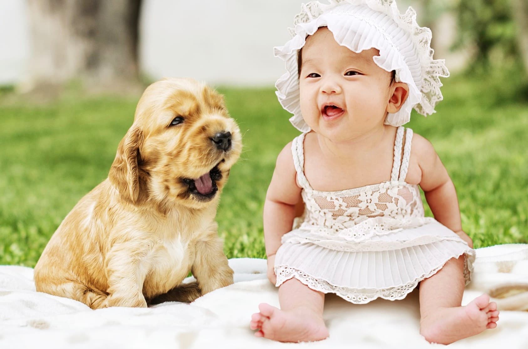 How to introduce dog to baby – Tips for Smooth Introduction