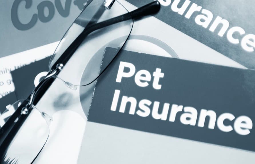 5 Pet Insurance Purchasing Mistakes and How to Avoid Them