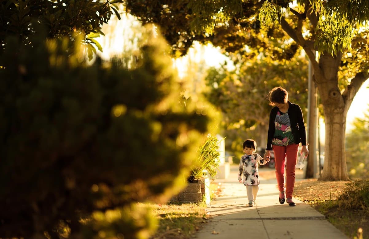 Understanding Child Support Laws: What Every Parent Should Know