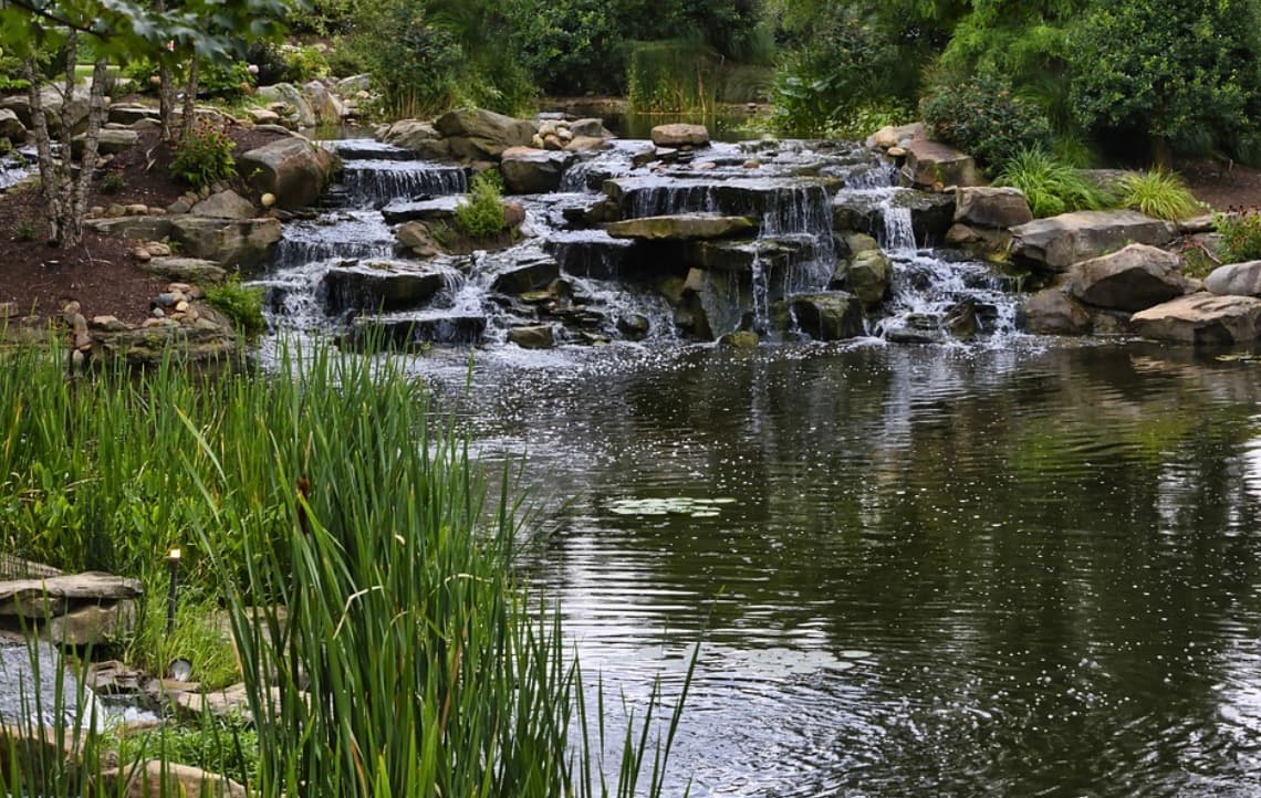 8 Things Adventure Seekers Can Do in Pigeon Forge