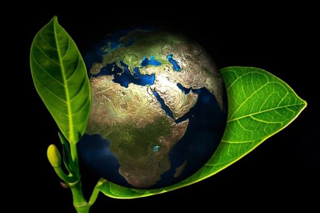Strategies That Will Make A Company More Eco Friendly
