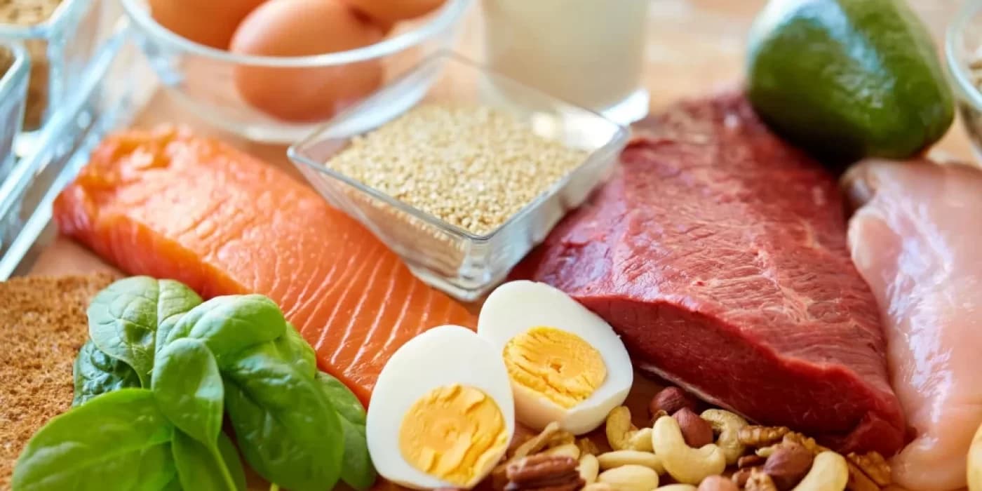 ketovore-diet