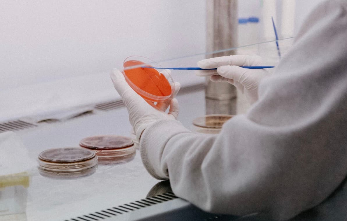 Exploring the Wonders of a Science Lab