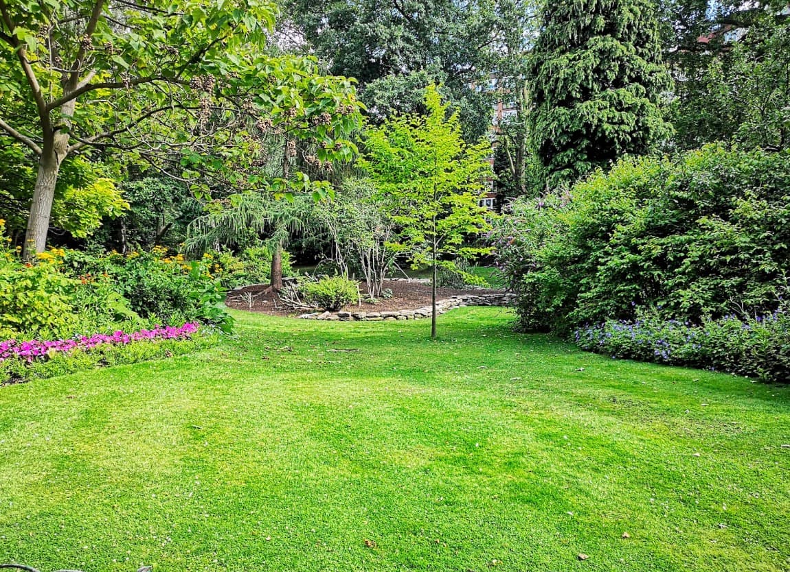 6 Gardening Tips and Tricks You Will Get Only From Experts