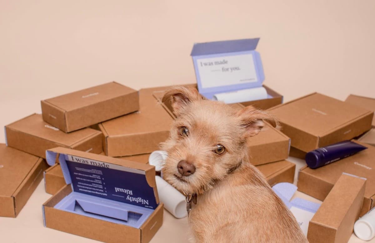 Every Home Needs a Parcel Box for These 6 Compelling Reasons