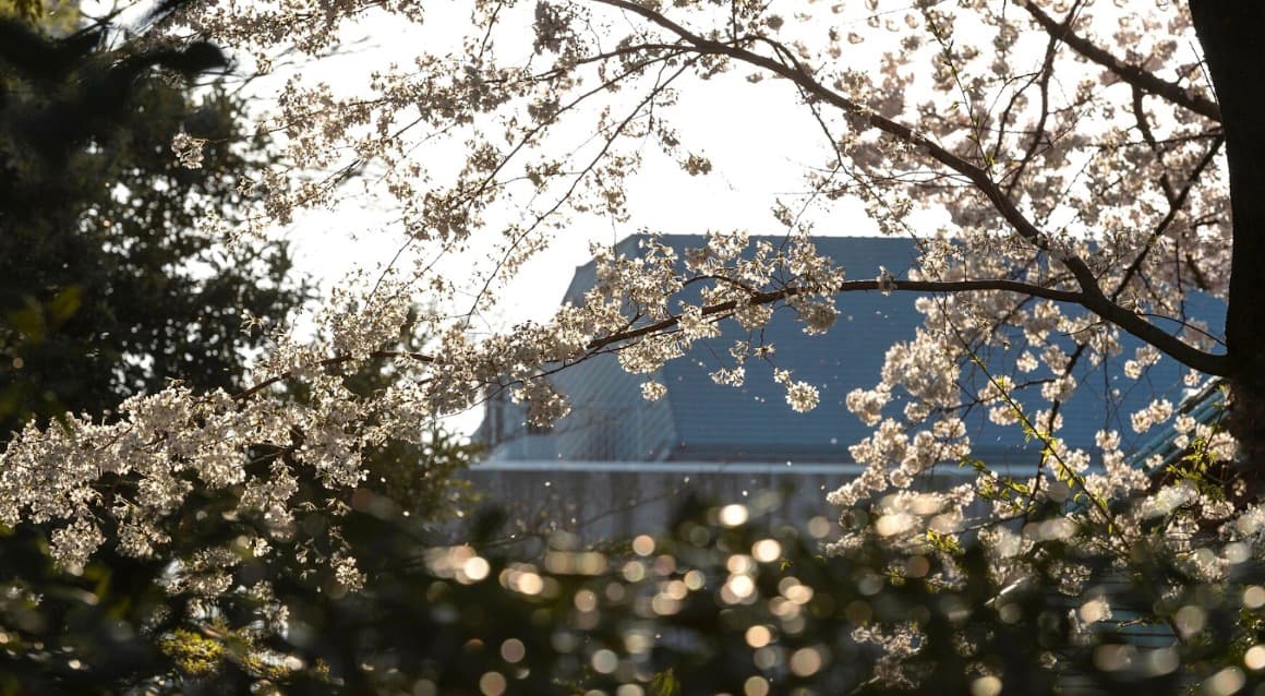 5 Home Projects to Tick-Off Your To-Do List as Spring Approaches