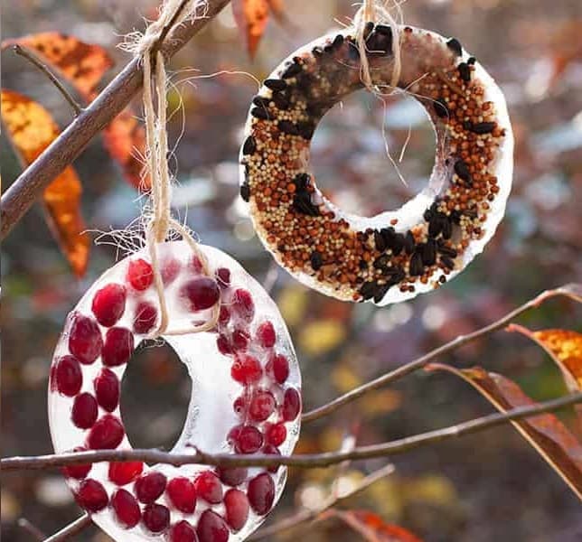 15 DIY Bird Feeders for Happy Birding