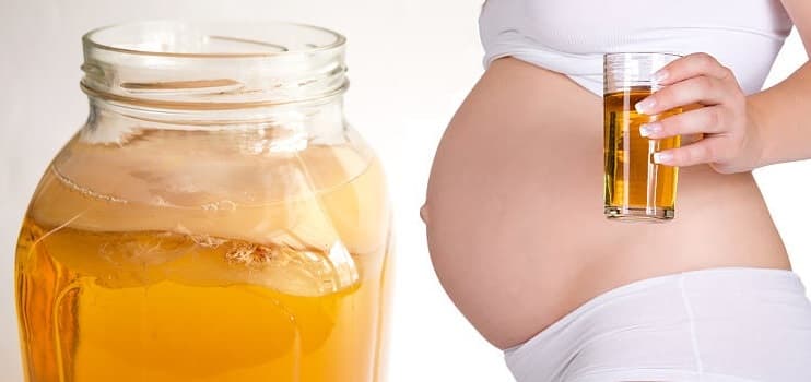 Can You Drink Kombucha While Pregnant – Your Questions Answered