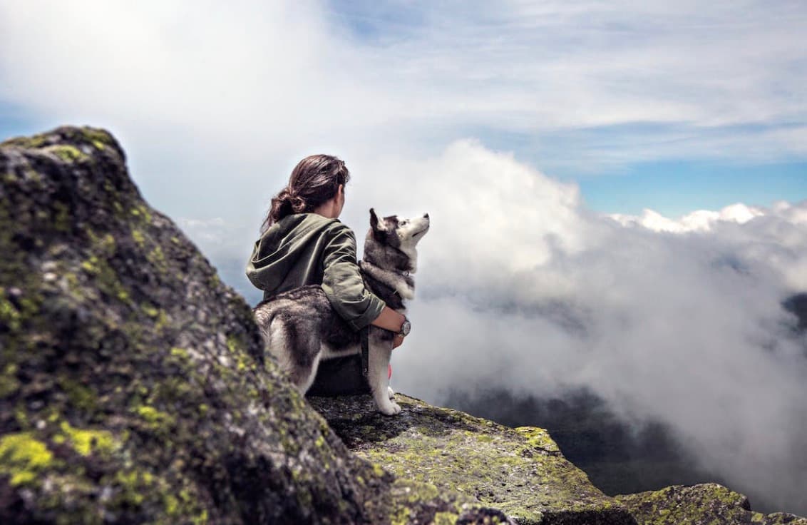 7 Tips for A Pet-Friendly Vacation to Gatlinburg