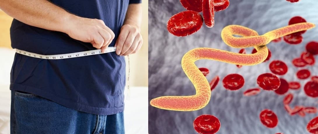 parasite weight gain featured