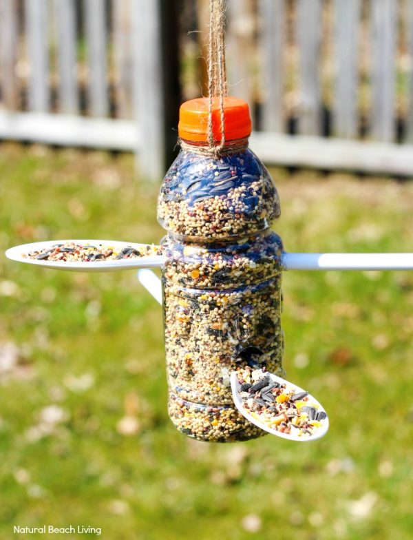 diy bottles bird feeder naturalbeachliving