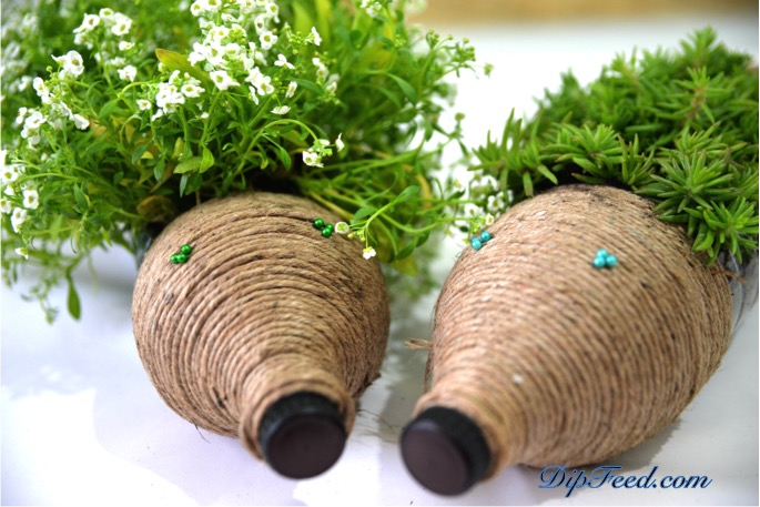 diy bottles hedgehog planter dipfeed