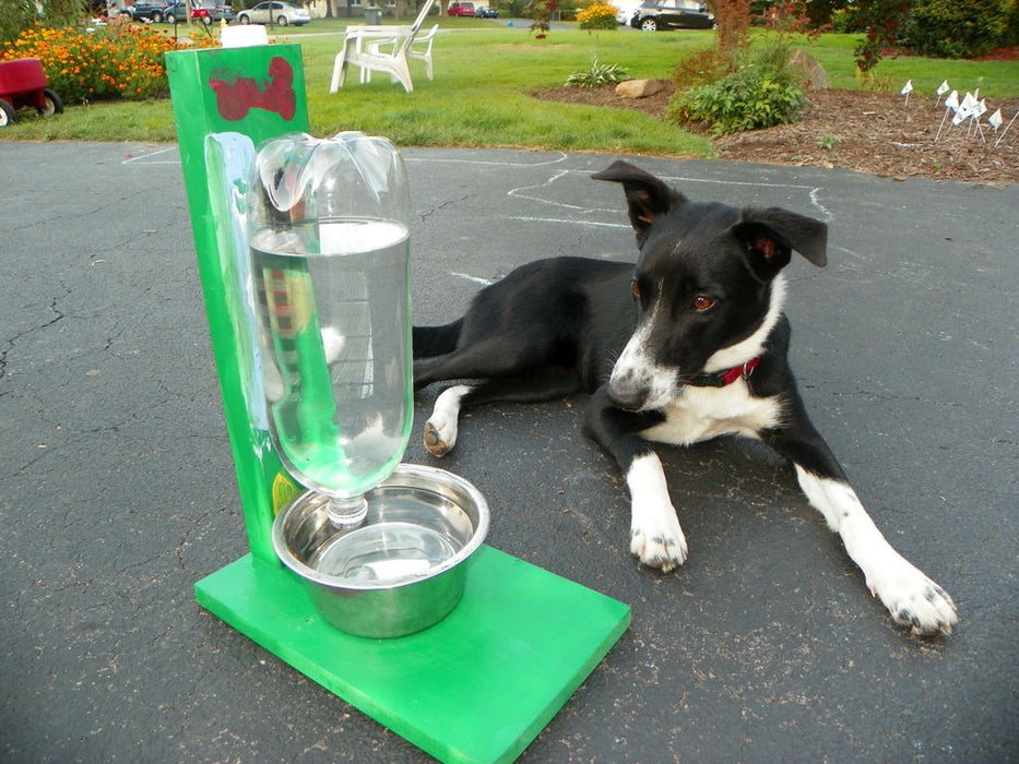 diy bottles pet bowl instructables