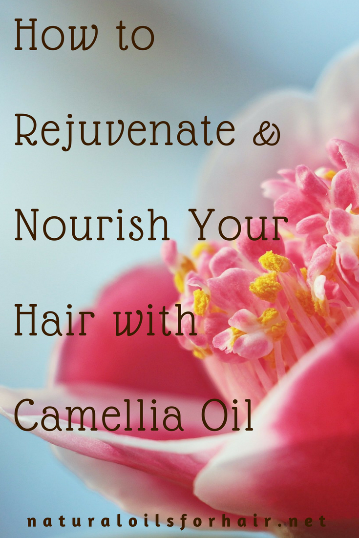 drizzy diy rejuvenate nourish your hair with camellia oil. naturaloilsforhair