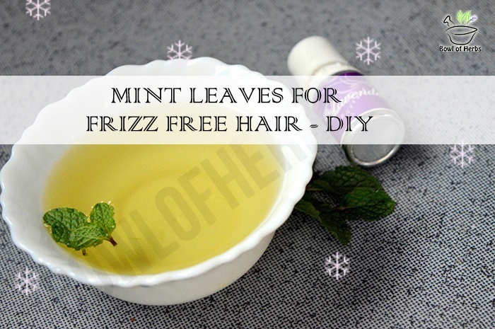 frizzy hair mint home remedy frizzy hair diy bowlofherbs