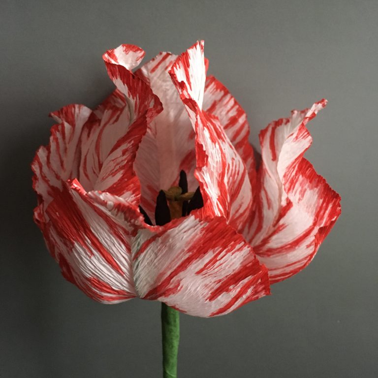 paper flowers diy crepe paper semper augustus tulip the paper heart