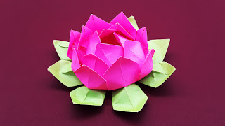 paper flowers diy lotus colorspapers