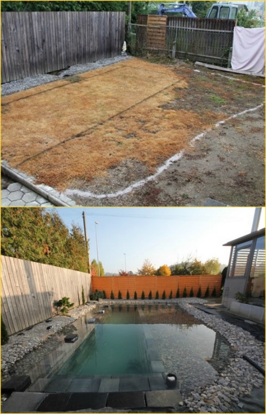 5 backyard pool david wolfe