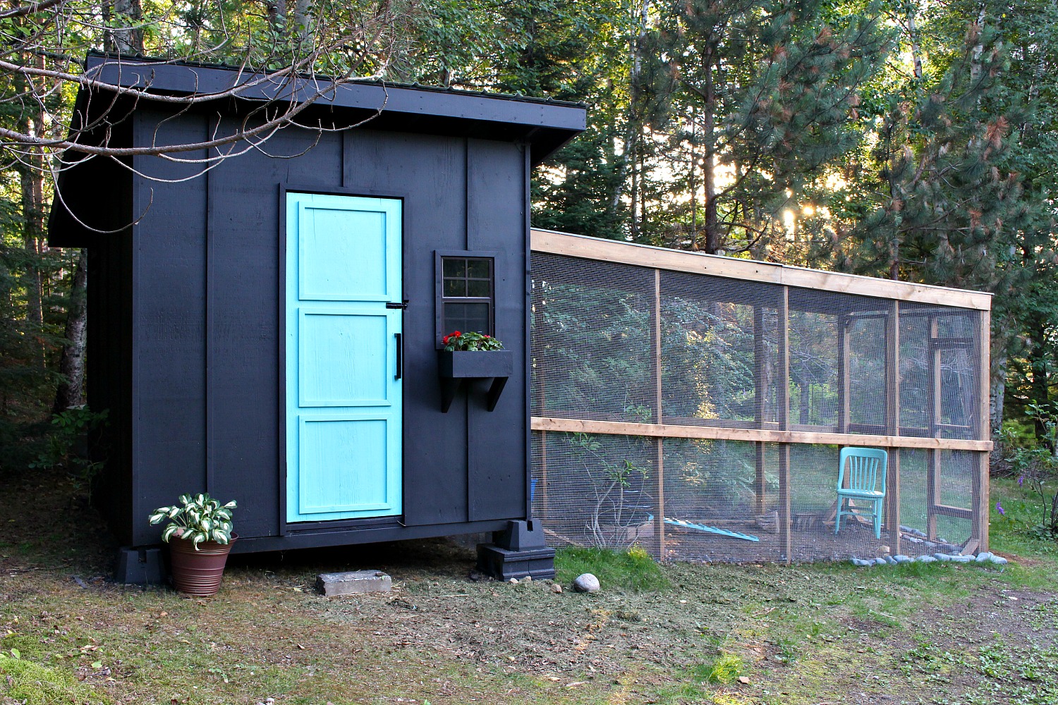 Chicken Coop Modern