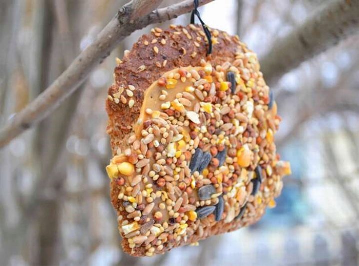 DIY Bird Feeder cbc.ca