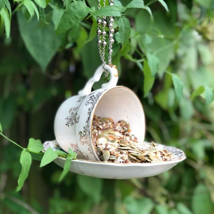 DIY Bird Feeder hometalk