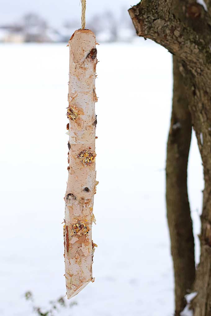 DIY Bird Feeder houseofhawthornes.