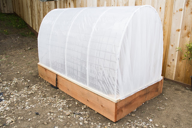 DIy Greenhouse swingncocoa.blogspot