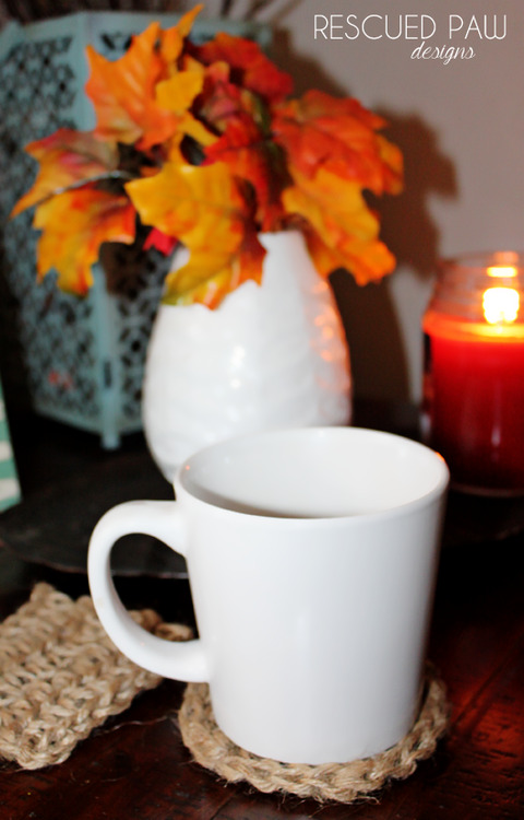 Fall Deco Crochet Twine Coasters