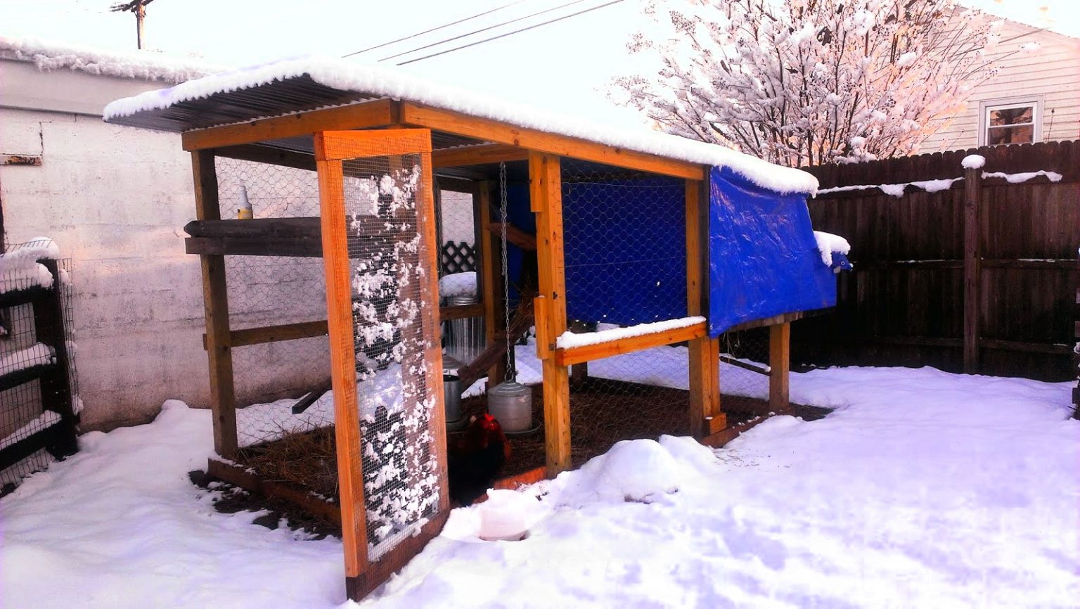 16 HomeMade Chicken Coops for Every Chick