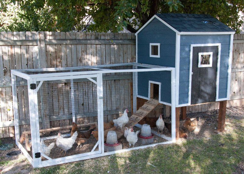 chicken coop chicken house coop housewivesofriverton