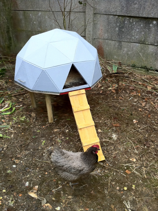 chicken coop geodesic anthony liekens