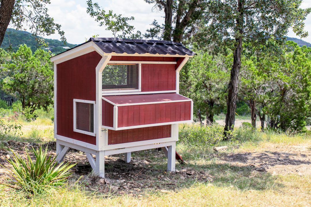 chicken coop intricate backyard chicken coop wilkerdos