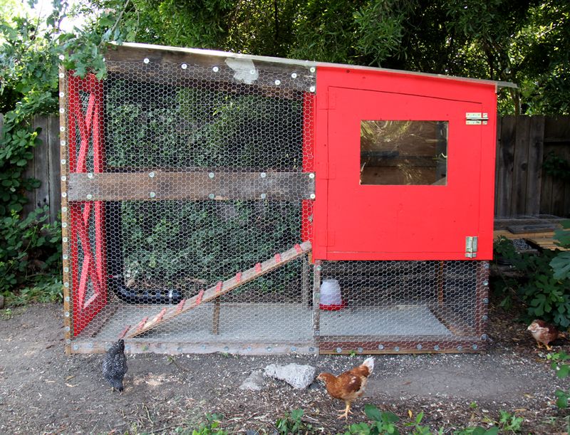 chicken coop modern chickn coop htt smallfriendly