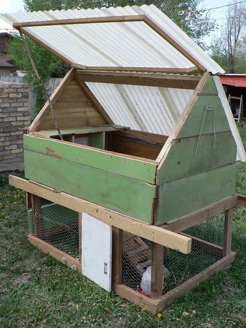 chicken coop portable chicken coop with opening roof blessthismessplease.