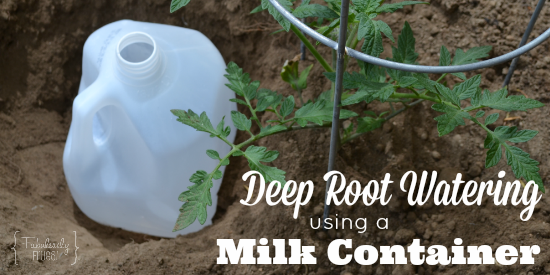 diy irrigation system deep root watering in your garden fabulesslyfrugal