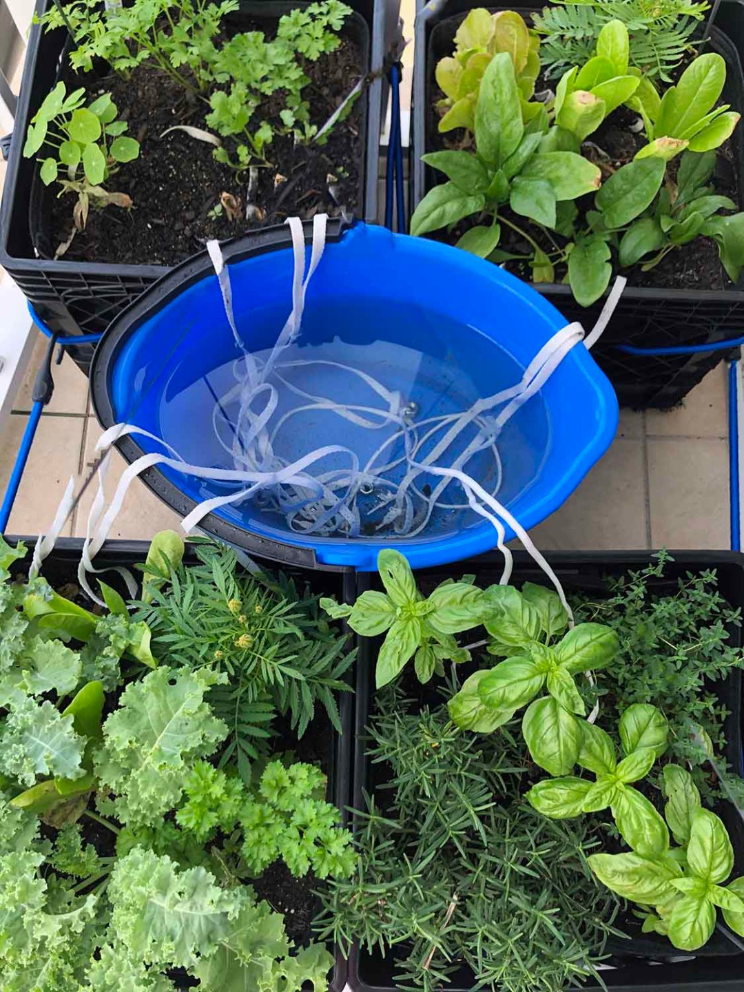 diy irrigation system diy wick watering system gardening4joy