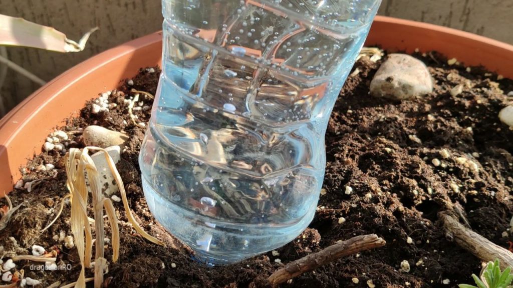 15 Different DIY Irrigation Systems To Suit Every Plant