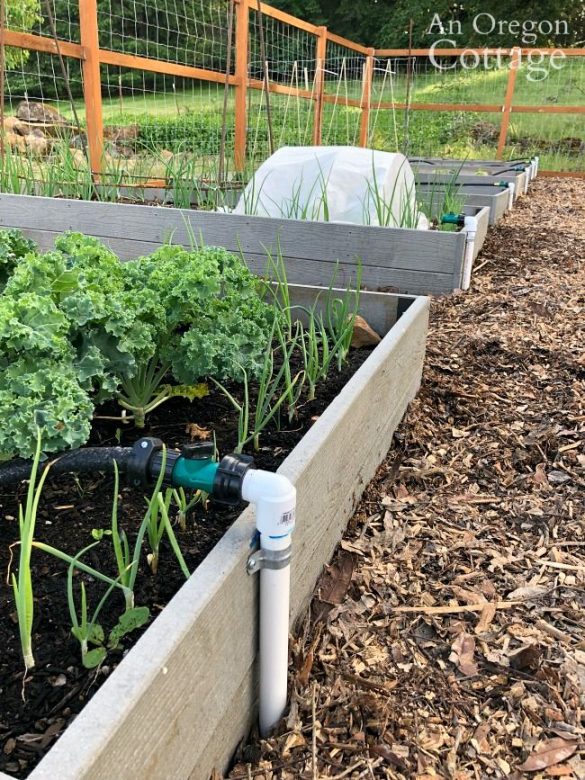 15 Different DIY Irrigation Systems To Suit Every Plant