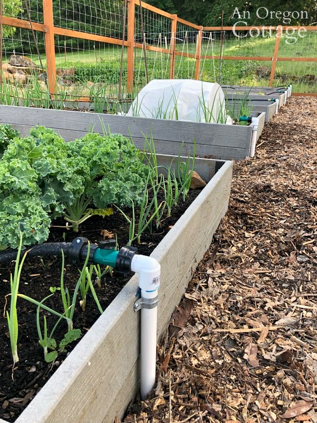 diy irrigation system garden wattering system anoregoncottage