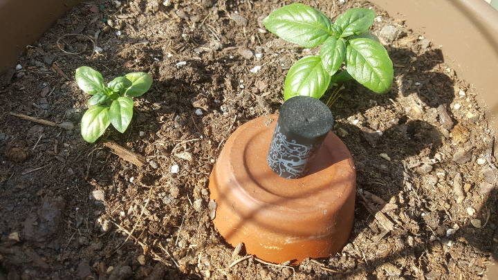 diy irrigation system ollas conserve garden water clay pot jorbins