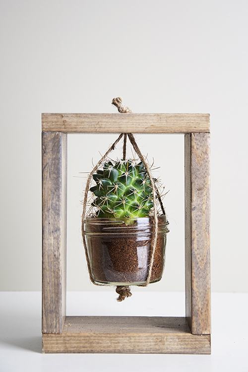 hanging planters cactus table planter natalme