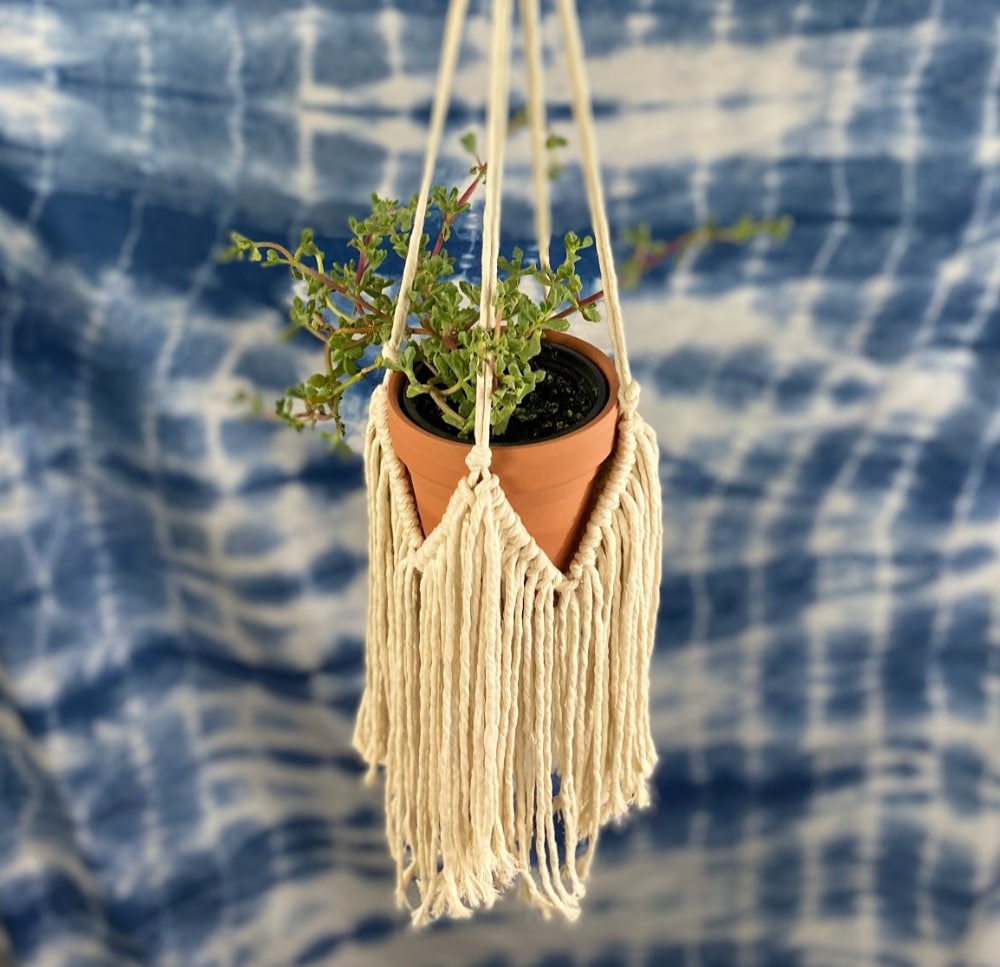 hanging planters fringed macrame marchingnorth