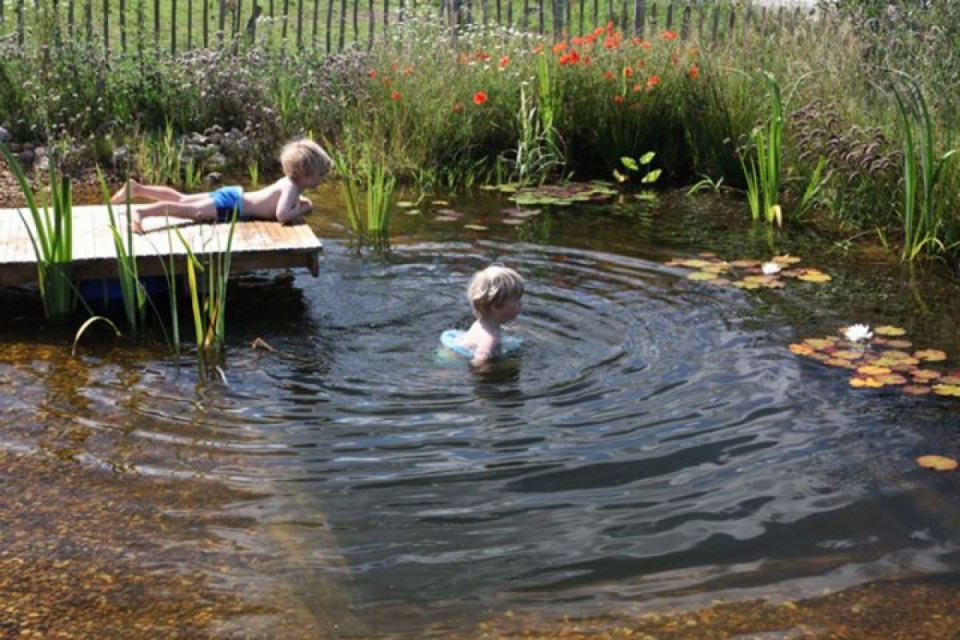 natural pool