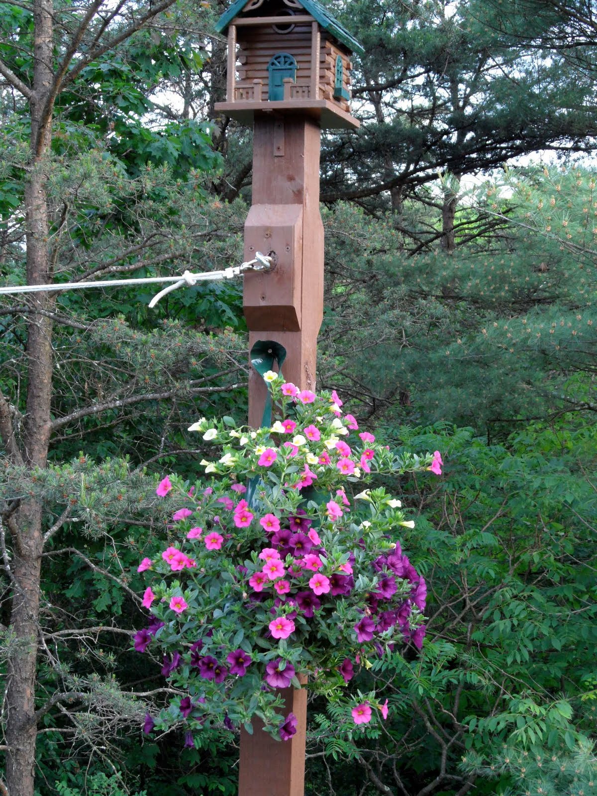 Bird Feeder Post