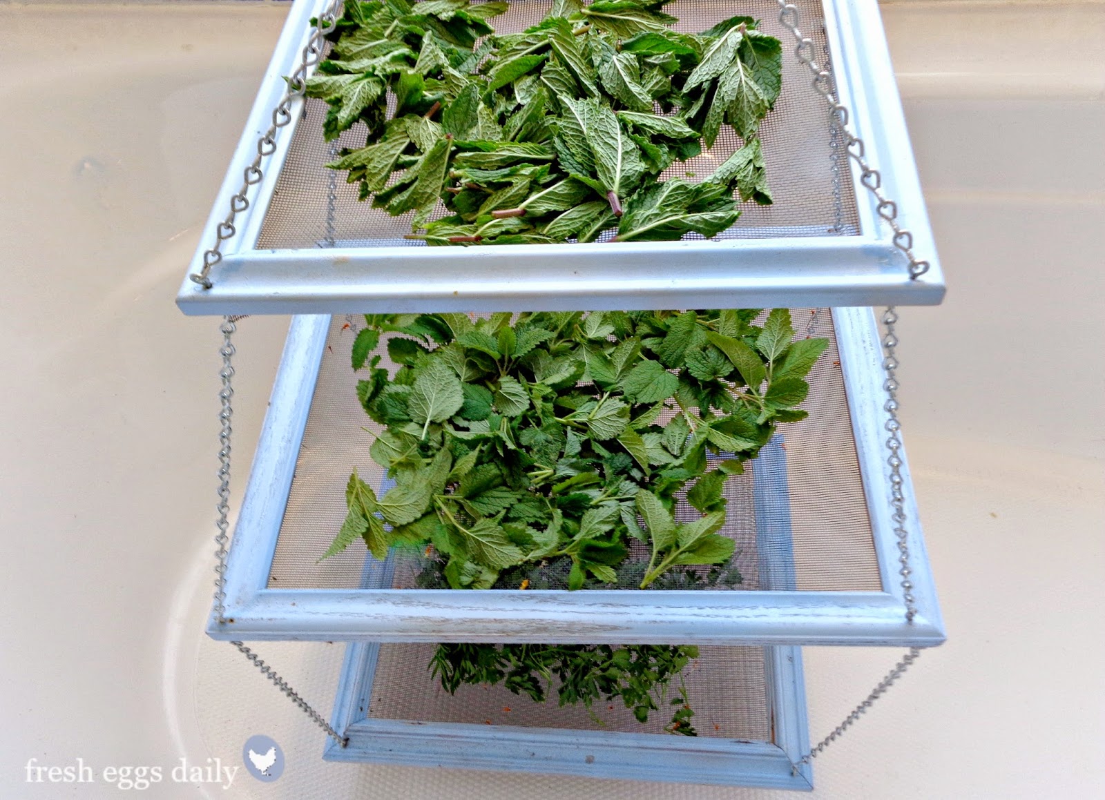 diy picture herb drying rack fresheggsdaily