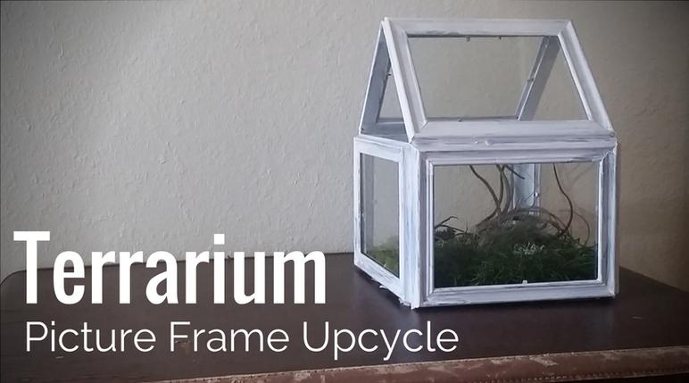 diy picture terrarium the scrap room