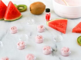 DIY Kiwi Watermelon Lip Sugar Scrub Salty Canary 15 of 40 copy 735x490 1